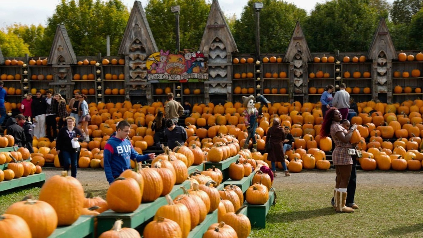 'Everyone laughed' when he started a pumpkin farm—now it brings in $2 million a year